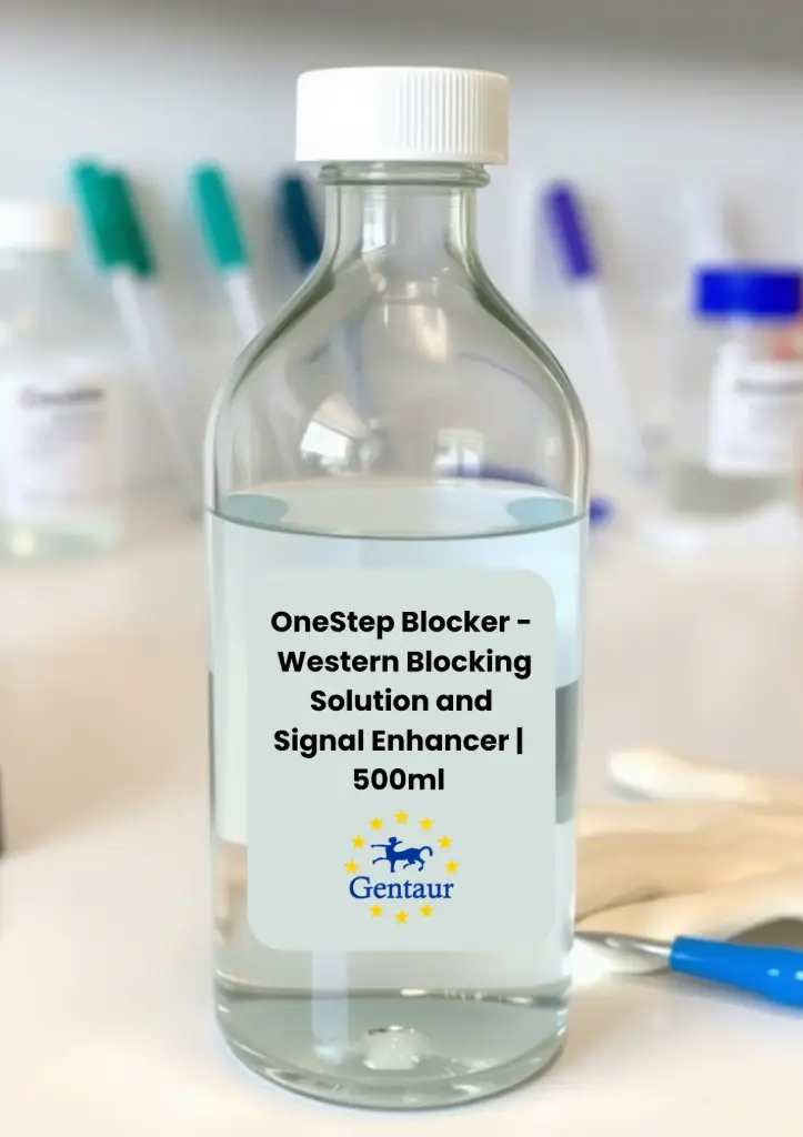 OneStep Blocker - Western Blot Blockeringslösning och Signalförstärkare 